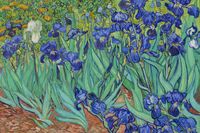 Plakat 30x20cm Irises, Van Gogh Vintage do Salonu