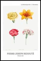 Plakat 61x91,5cm Design Flower Set, Redoute Vintage do Salonu