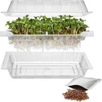 Kiełkownica Zielona Czuprynka z nasionami rzodkiewki