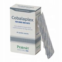 Protexin Cobalaplex 60 kapsułek (witamina B12, Kwas foliowy) PIES/KOT
