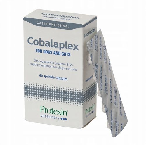 Protexin Cobalaplex 60 kapsułek (witamina B12, Kwas foliowy) PIES/KOT na Arena.pl