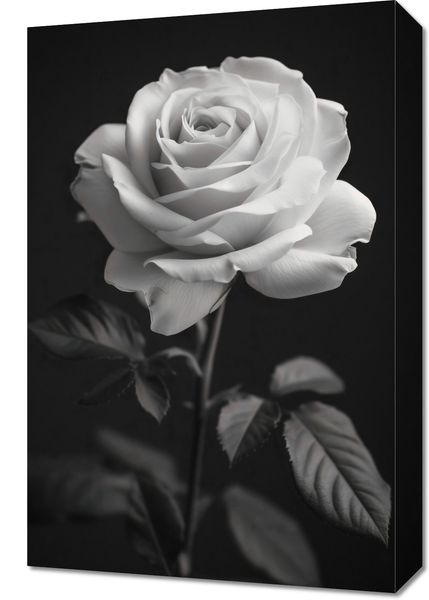 Obraz 40x60cm Płatki Róż zdjęcie 1