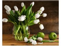 40X50CM ŚNIEŻNOBIAŁE TULIPANY OBRAZ