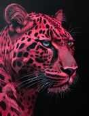 Plakat 50x65cm Szkarłatny Jaguar