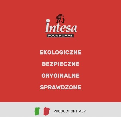 Intesa Men Żel Pod Prysznic 2W1 Fresh 500 Ml na Arena.pl