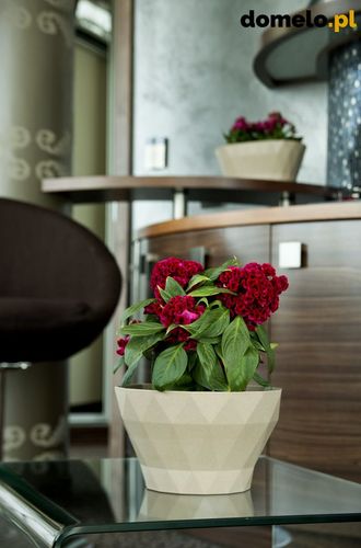 DONICZKA DELTA 220 A1 na Arena.pl