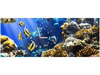 product-compare-58616672