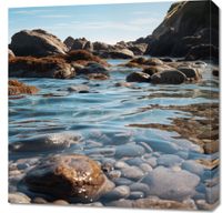 product-compare-59467239