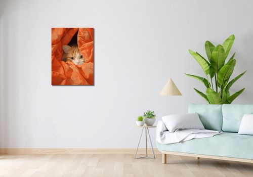 Obraz 50x70cm Ukryty Kot na Arena.pl