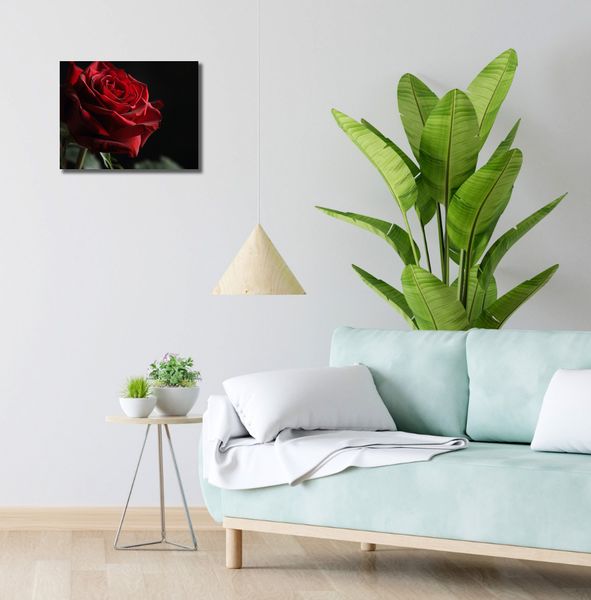 Obraz 40x30cm Róża w Półcieniu zdjęcie 2