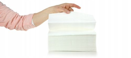 Ręcznik papierowy wkład ZZ Celuloza Biała 3000szt na Arena.pl