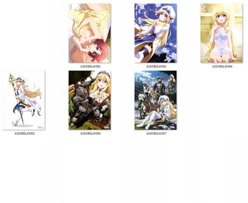 Plakat Goblin Slayer DO WYBORU na Arena.pl