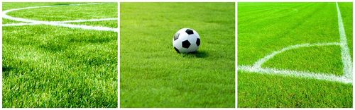 Rebounder bramka piłkarska treningowa na Arena.pl