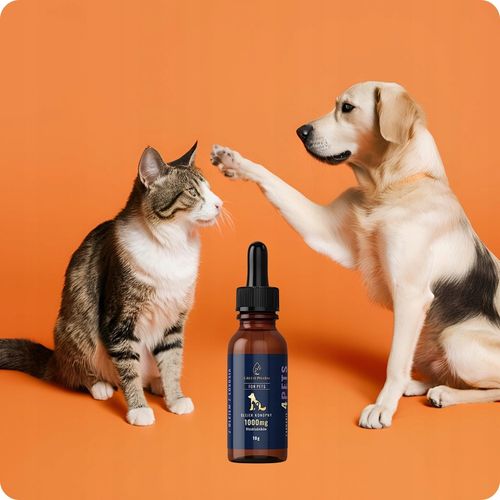Olejek Konopny CBD 10% | Dla Psa 1000mg 11ml | Weterynaryjny | Bez THC na Arena.pl
