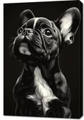 Obraz 60x90cm  Portret Zwierząt do Salonu | Buldog Francuski | Czarno Białe