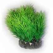 AQUAEL ROŚLINA KĘPKOWA PR-402 4 (10CM)