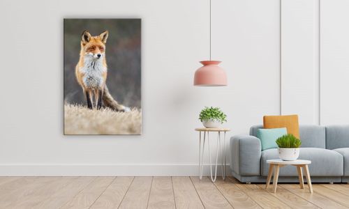 OBRAZ NA PŁÓTNIE 121 Lis 40x60cm na Arena.pl