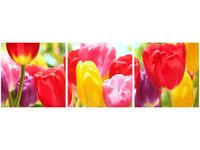 60 90CM OBRAZ 3 ELEM ŻÓŁTY TULIPAN ŚCIENNY DRUK PŁÓTNO