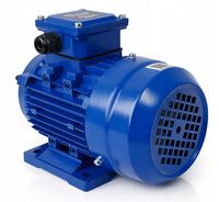 ONDRAGON SILNIK ELEKTRYCZNY JEDNOFAZOWY 3KW 2800RPM 230V MOCNY OD9157