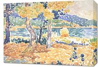 Obraz 70x50cm Pines, Henri-Edmond Cross Vintage do Salonu