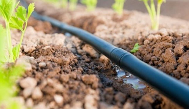 Linia kroplująca 50m + 50 szpilek /100 akcesoriów zdjęcie 2