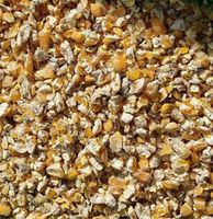 Kukurydza Gnieciona pasza karma 25kg Polska dla kur niosek gołębi