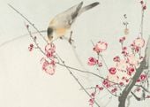 Plakat 70x50cm Songbird on Blossom Branch, Koson Vintage do Salonu