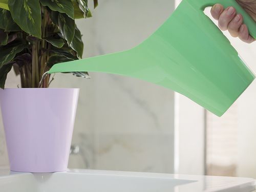 Konewka ARUBA 1,2L Melon na Arena.pl