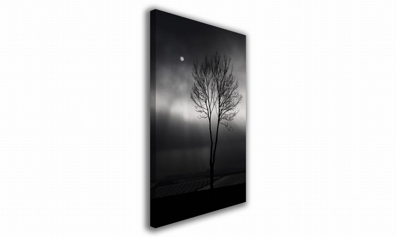 OBRAZ NA PŁÓTNIE 024 Drzewo 60x90cm zdjęcie 1