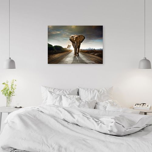 Deco Panel, Słoń na drodze 60x40 na Arena.pl