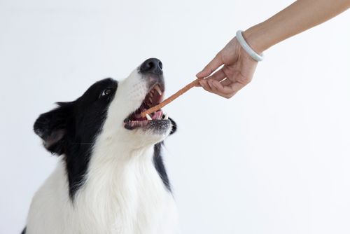 Pałeczki wołowe dla psa - przysmak z wołowiną i ryżem 500g SNAPPY na Arena.pl