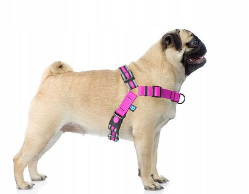 Szelki treningowe dla psa typu easy walk, ODBLASKI na Arena.pl