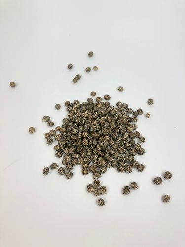 Łubin wąskolistny 25kg GORZKI na Arena.pl