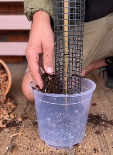 Palik z mchu 80cm sphagnum Podpora do roślin na Arena.pl