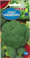 NASIONA Brokuł Sebastian 1g POLAN Wczesny Uprawa Wiosenna Jesienna 004107