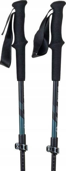 KIJE TREKKINGOWE Access Lite Carbon Rockland zdjęcie 12