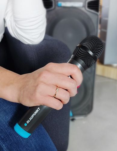 Bezprzewodowy mikrofon Blaupunkt WM40U na Arena.pl