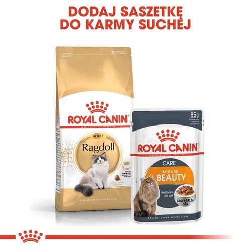 Karma z kwasami omega dla kotów dorosłych rasy Ragdoll - Royal Canin 400g na Arena.pl