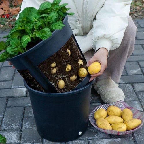 Doniczka okrągła Potato Grower 400 na Arena.pl