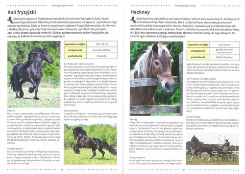 ATLAS KONI RASY OPIEKA ZDROWIE JEŹDZIECTWO ALBUM TWARDA na Arena.pl