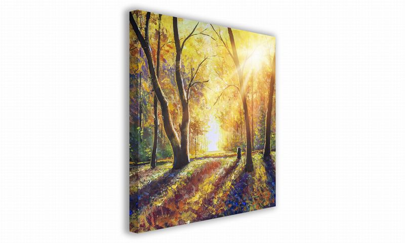 OBRAZ NA PŁÓTNIE 037 Jesienne słońce 70x70cm zdjęcie 1