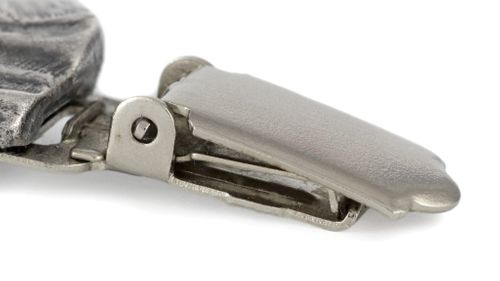 Cane Corso - klips - 2559 na Arena.pl