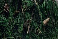 Tło FLAT LAY do fotografii produktowej kulinarnej