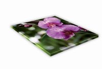 SZKLANA DESKA KUCHENNA 25x25 441e Różowa orchidea