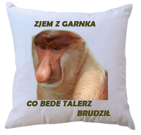 Poduszka dla Janusza