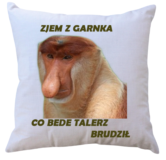 Poduszka dla Janusza zdjęcie 1