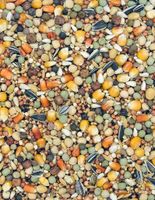 KARMA DLA GOŁĘBI PIERZENIOWA PE EXTRA PROTEIN 25 KG MDM