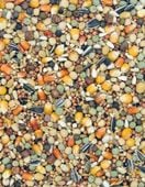 KARMA DLA GOŁĘBI PIERZENIOWA PE EXTRA PROTEIN 25 KG MDM