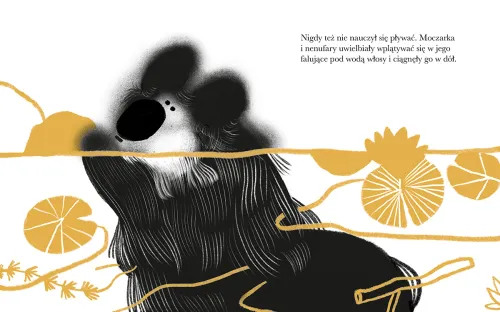 Co to za kuleczka? na Arena.pl