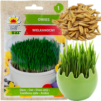 OWIES WIELKANOCNY NASIONA DEKORACJA NA STÓŁ WIELKANOCNY 30G TRAWA DLA KOTA